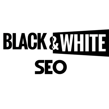 Octobre 2015 : Web Alliance assiste au Black and White SEO
