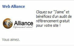 Référencement Facebook