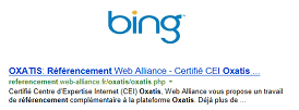 Référencement naturel Bing