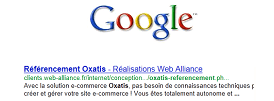 Référencement naturel Google