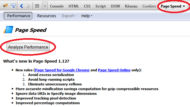 PageSpeed pour Firefox