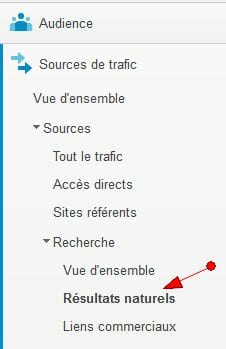 mots-cles-naturels-google-analytics