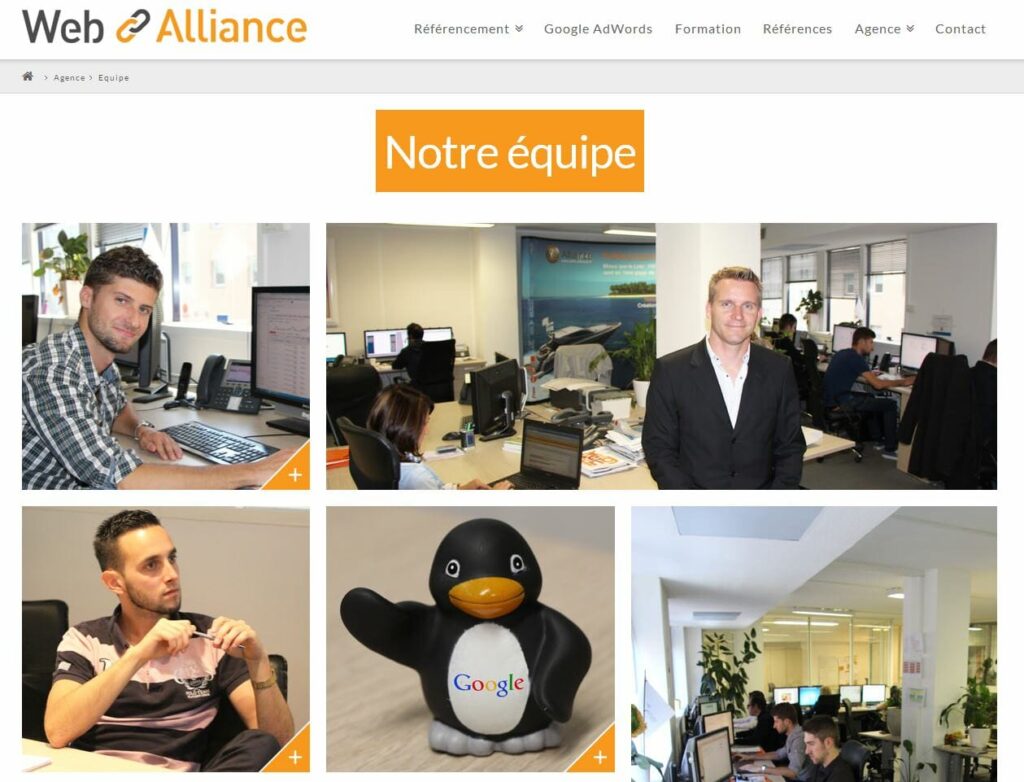 équipe web alliance