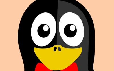 Top News : Penguin 4.0 a été lancé par Google !