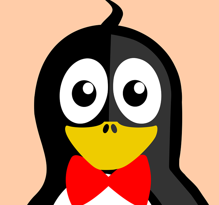 Top News : Penguin 4.0 a été lancé par Google !