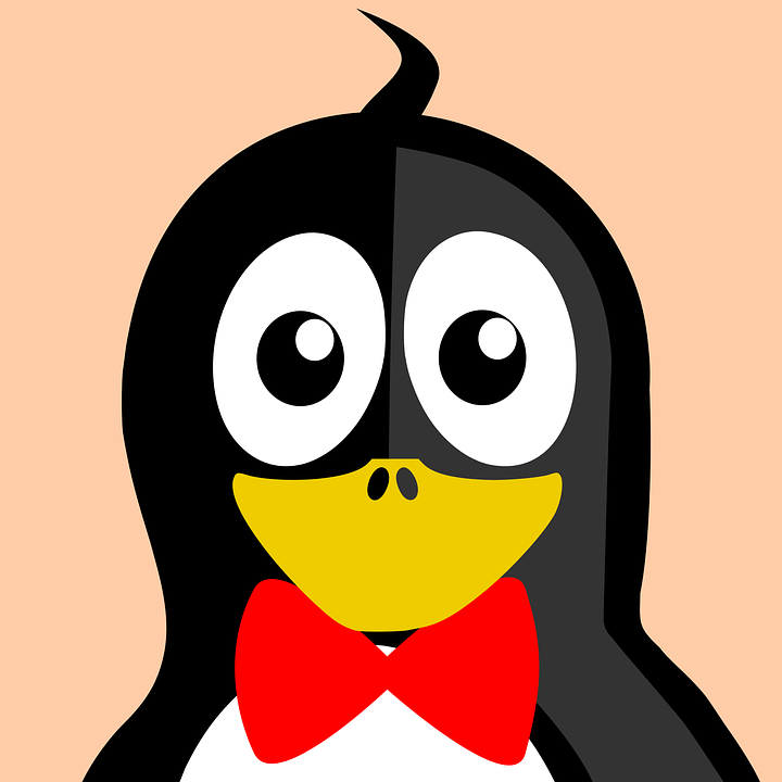 google-penguin-4