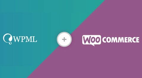 Extension WooCommerce référencement international