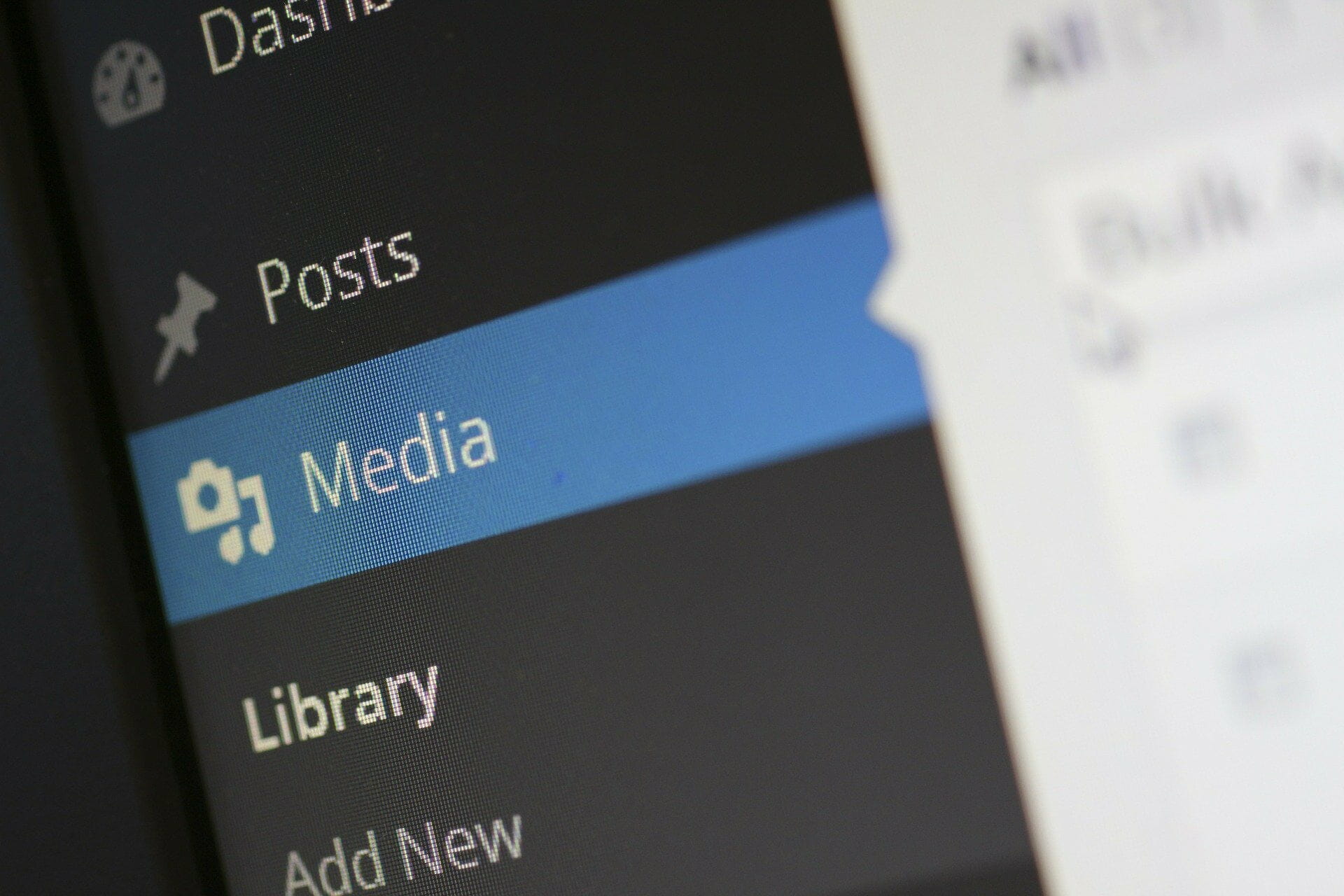 wordpress wordpress