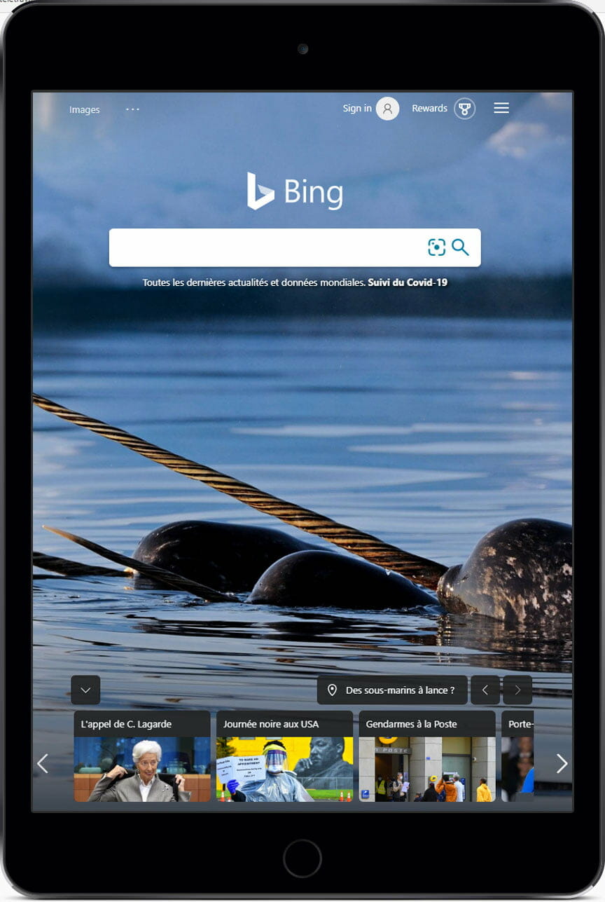 Résultats payants Bing