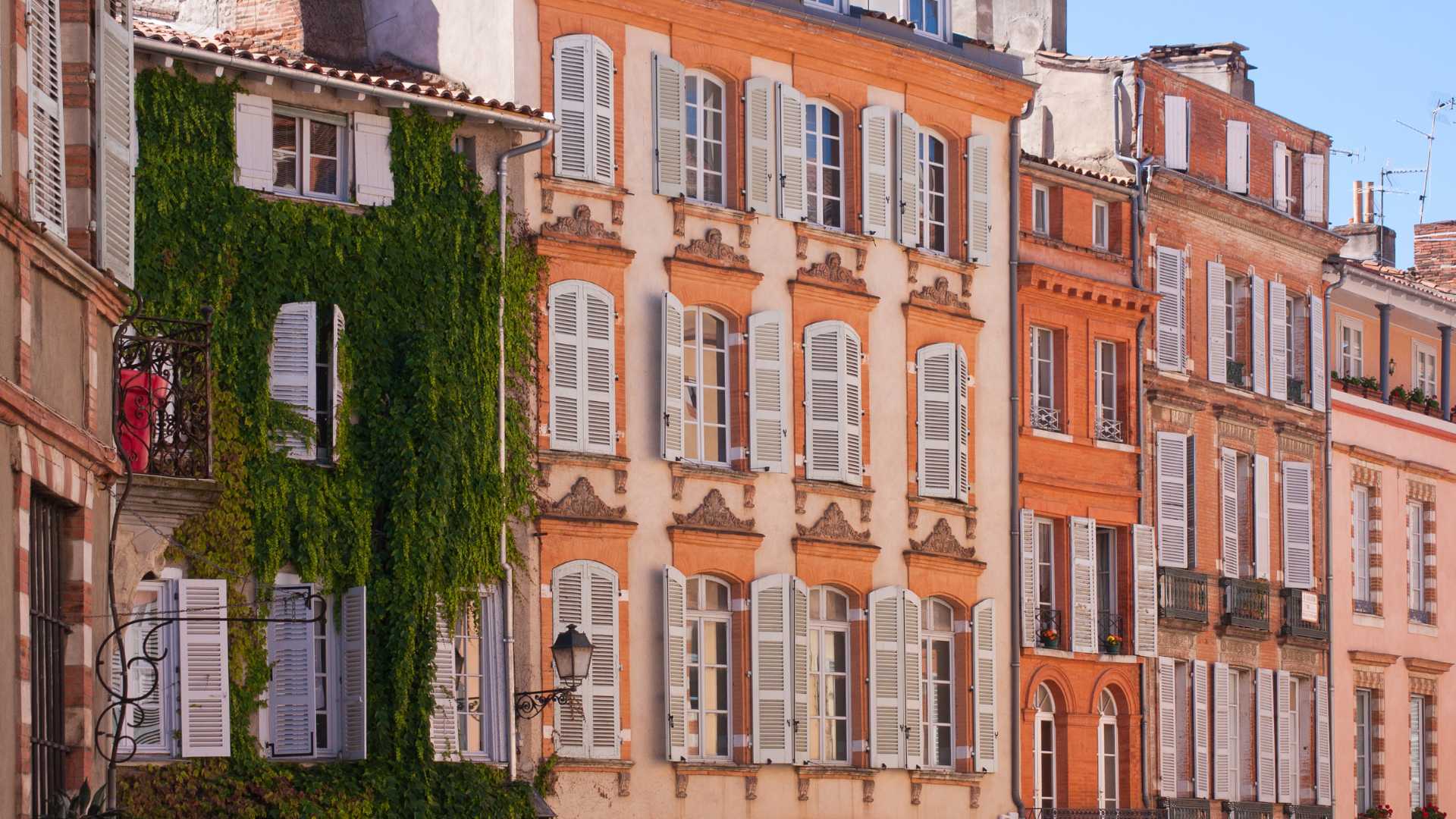 Palmier au premier plan et l’hôtel Negresco à Nice en arrière-plan