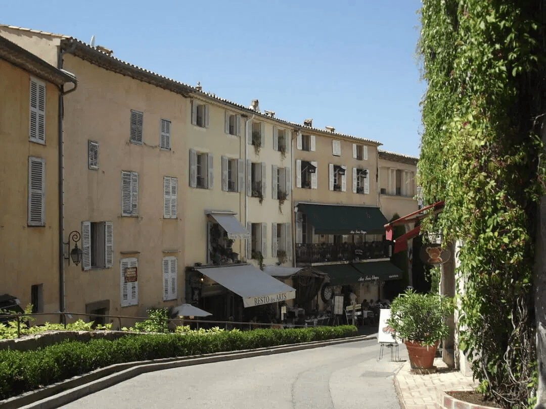 Palmier au premier plan et l’hôtel Negresco à Nice en arrière-plan
