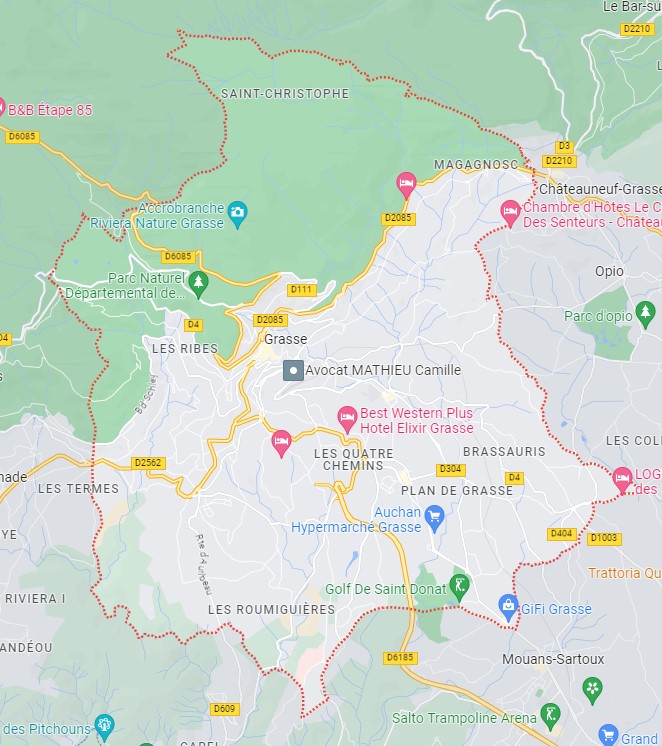 Carte Nice geolocalisation 