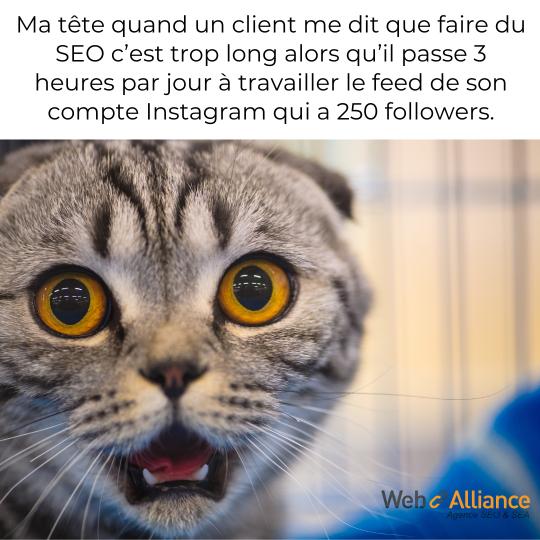 client seo